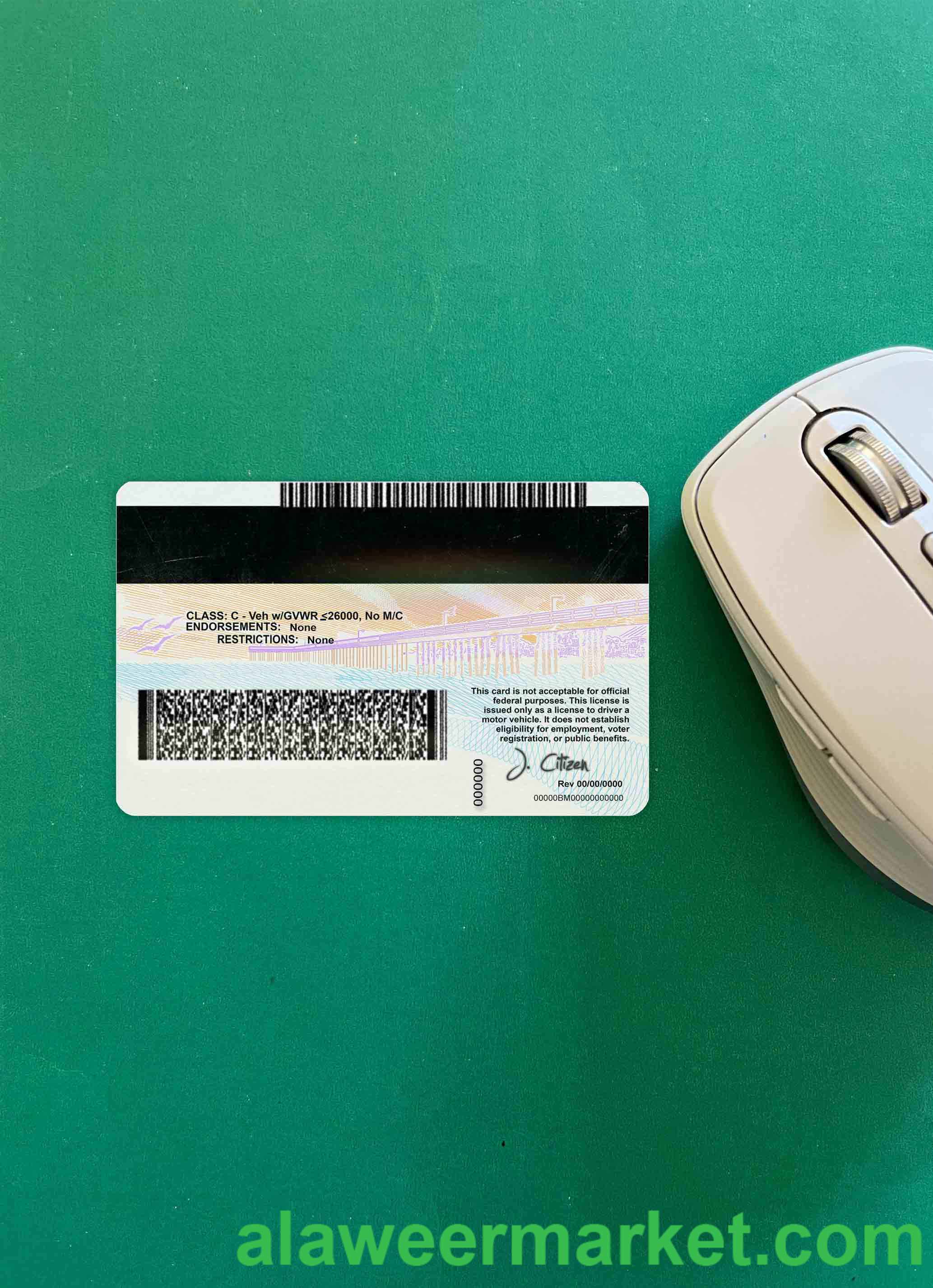 USA California DL (2018, January - present) photolook BACK